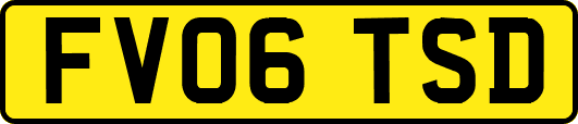 FV06TSD