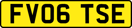 FV06TSE