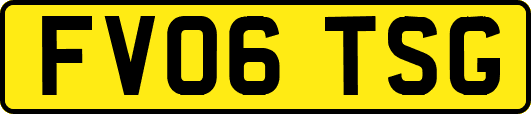 FV06TSG