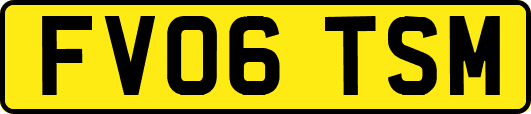 FV06TSM