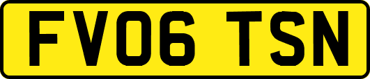 FV06TSN