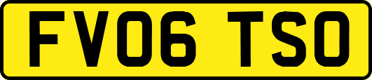 FV06TSO