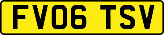 FV06TSV