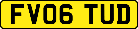 FV06TUD
