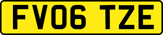 FV06TZE