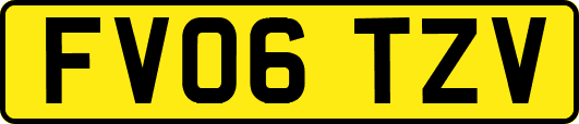 FV06TZV