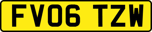 FV06TZW