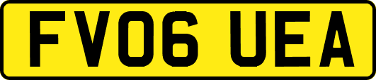 FV06UEA
