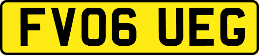 FV06UEG