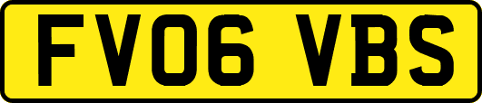 FV06VBS