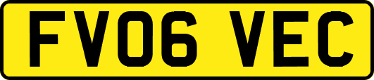 FV06VEC