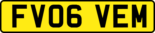 FV06VEM