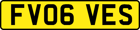 FV06VES