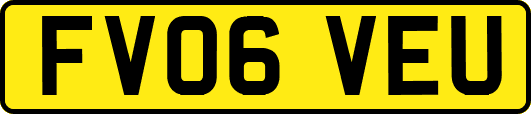 FV06VEU