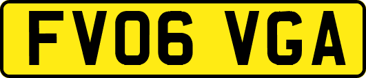 FV06VGA