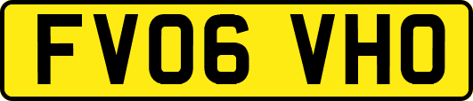 FV06VHO