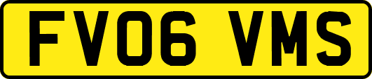 FV06VMS