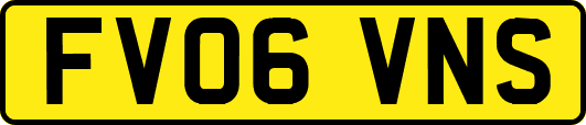 FV06VNS