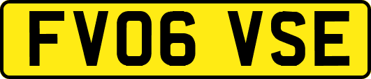 FV06VSE