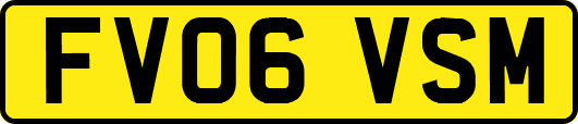 FV06VSM