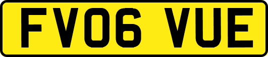 FV06VUE