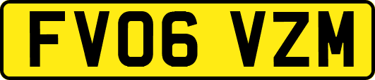 FV06VZM