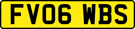 FV06WBS