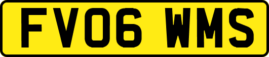 FV06WMS