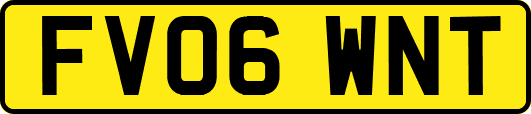 FV06WNT