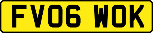 FV06WOK