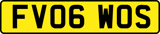 FV06WOS