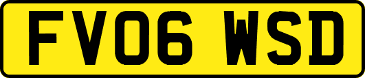 FV06WSD