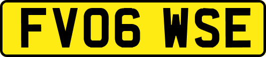 FV06WSE