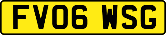 FV06WSG