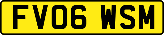 FV06WSM