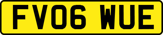 FV06WUE