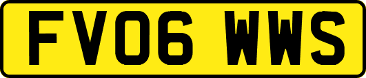 FV06WWS