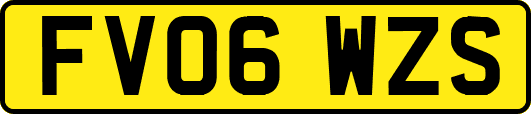 FV06WZS