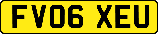FV06XEU