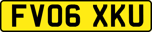 FV06XKU