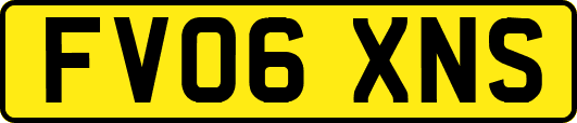 FV06XNS