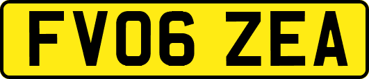 FV06ZEA