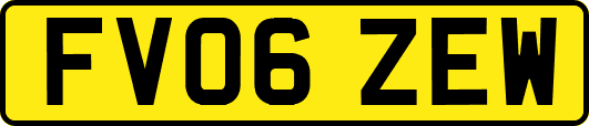 FV06ZEW