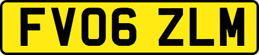 FV06ZLM