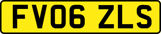 FV06ZLS