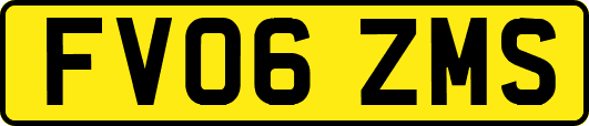 FV06ZMS