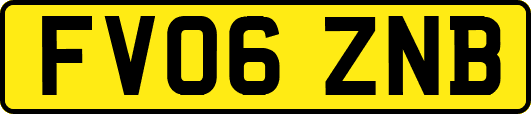 FV06ZNB