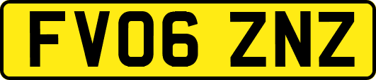 FV06ZNZ