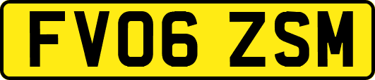 FV06ZSM