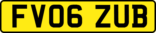 FV06ZUB